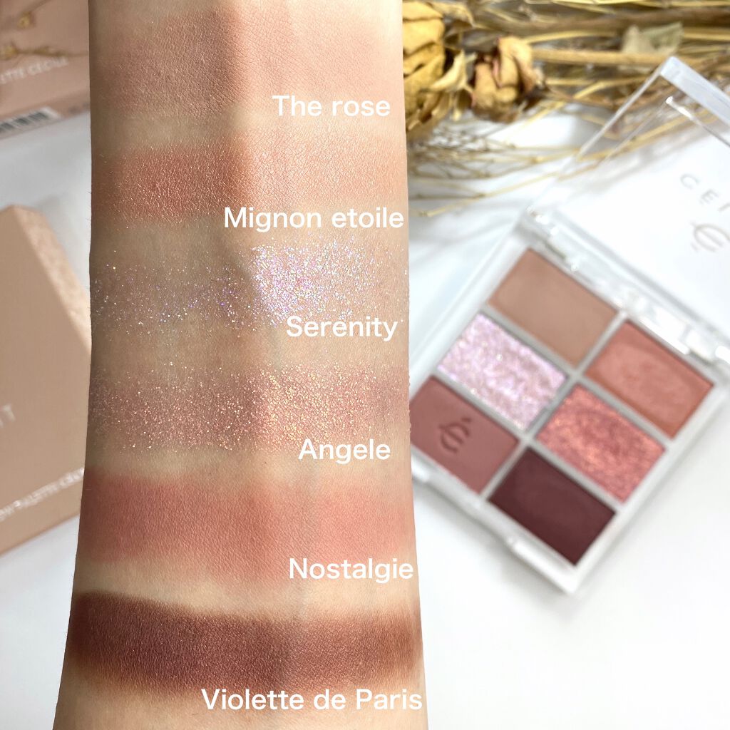 プロアイシャドウパレットセシル/CELEFIT/アイシャドウパレットを使ったクチコミ(6枚目)