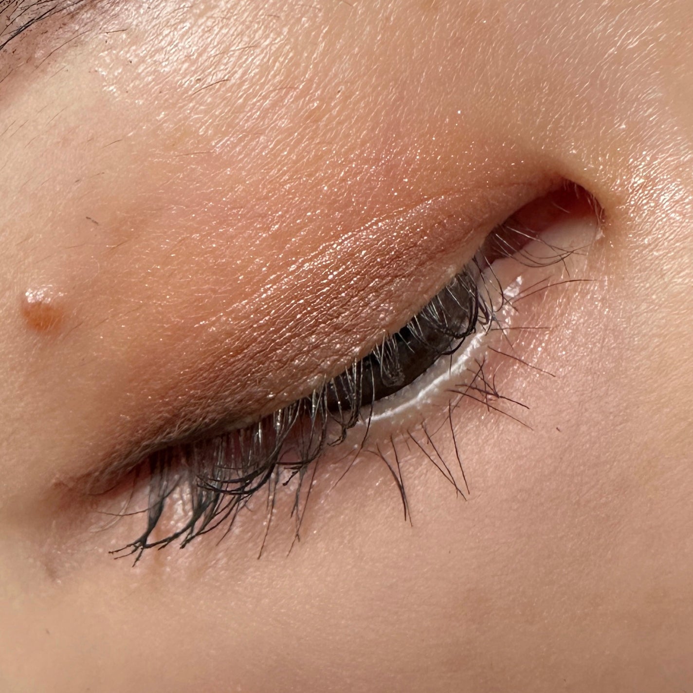 バイカラーアイズ/Enamor/アイシャドウパレットを使ったクチコミ(4枚目)