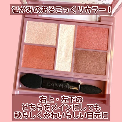 パーフェクトスタイリストアイズ/キャンメイク/アイシャドウパレットを使ったクチコミ(3枚目)