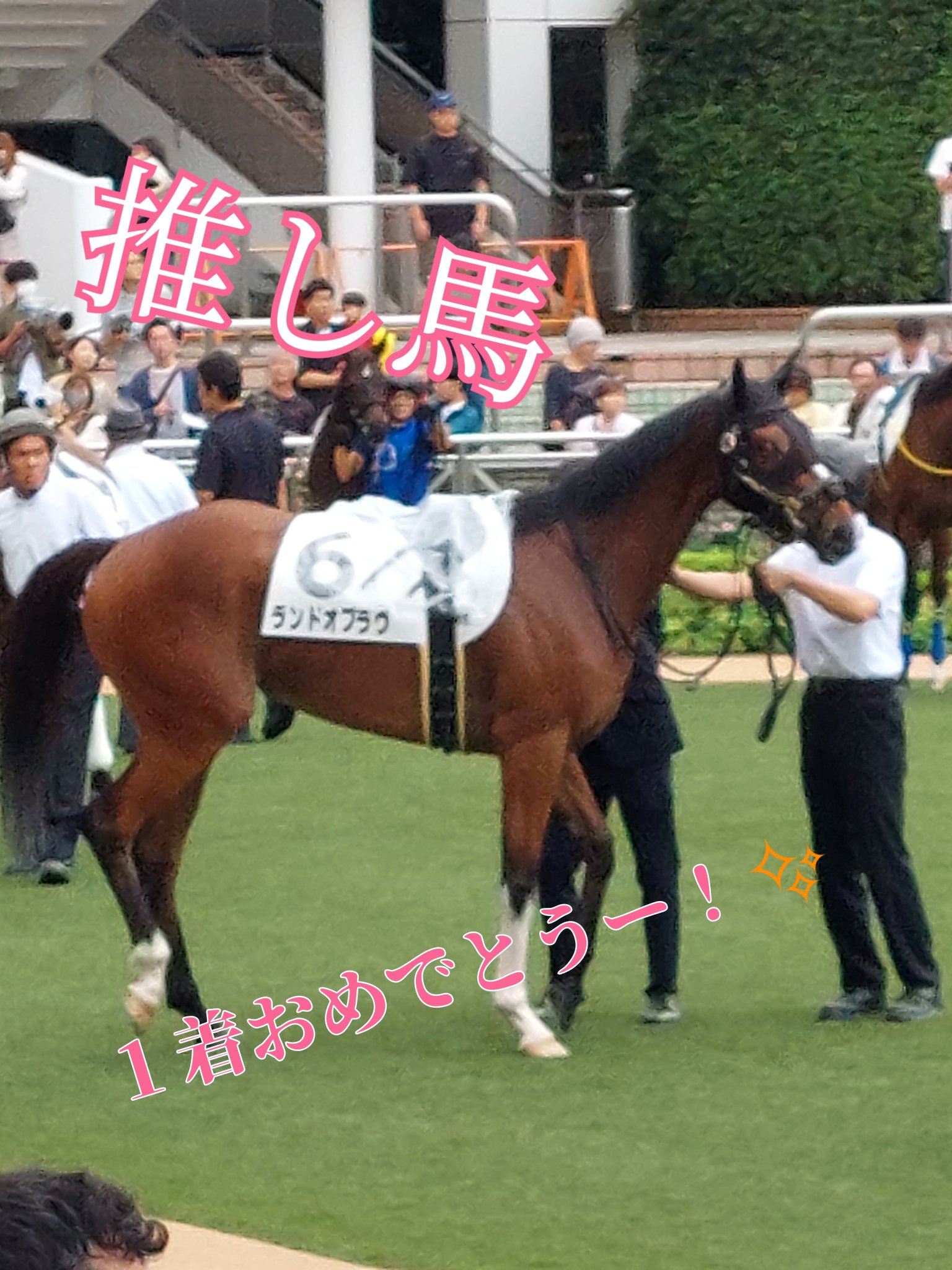 fruitmagnet/ネイル工房/ジェルネイルを使ったクチコミ（2枚目）