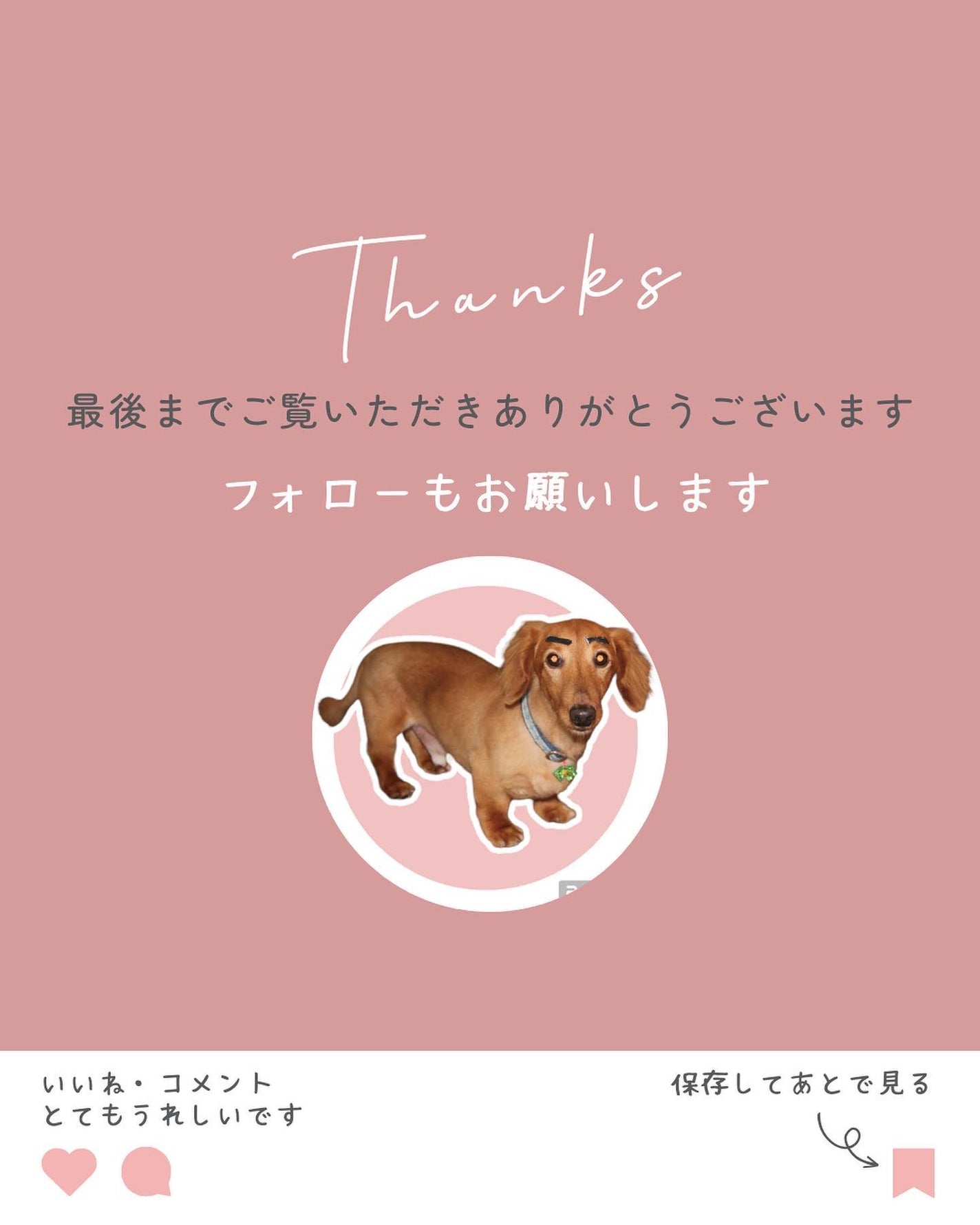 ぽち on LIPS 「コエタスのモニターキャンペーンでもらった「PipitBody」..」(10枚目)