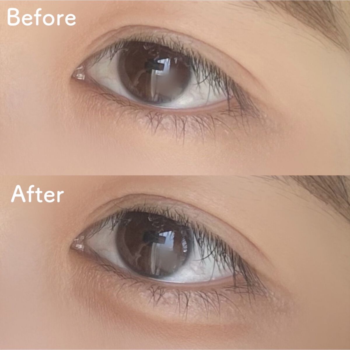 パーフェクトマルチアイズ 01 ローズブラウン/キャンメイク/アイシャドウパレットを使ったクチコミ（2枚目）