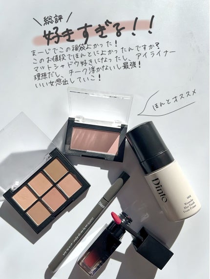 ブラーフィニシュシャドウパレット/Dinto/アイシャドウパレットを使ったクチコミ(10枚目)
