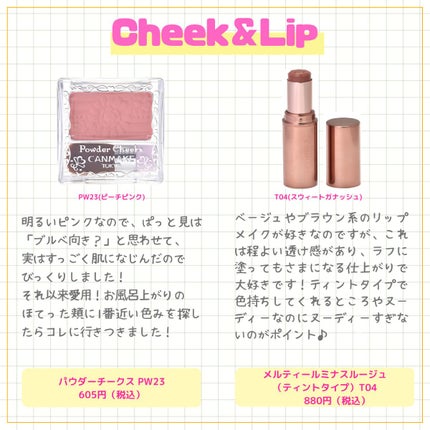 ラスティングマルチアイベース WP/キャンメイク/アイシャドウベースを使ったクチコミ(6枚目)