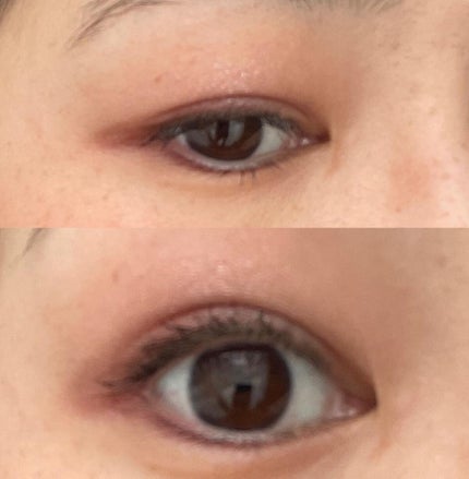 シルキースフレアイズ(マットタイプ)/キャンメイク/アイシャドウパレットを使ったクチコミ(3枚目)