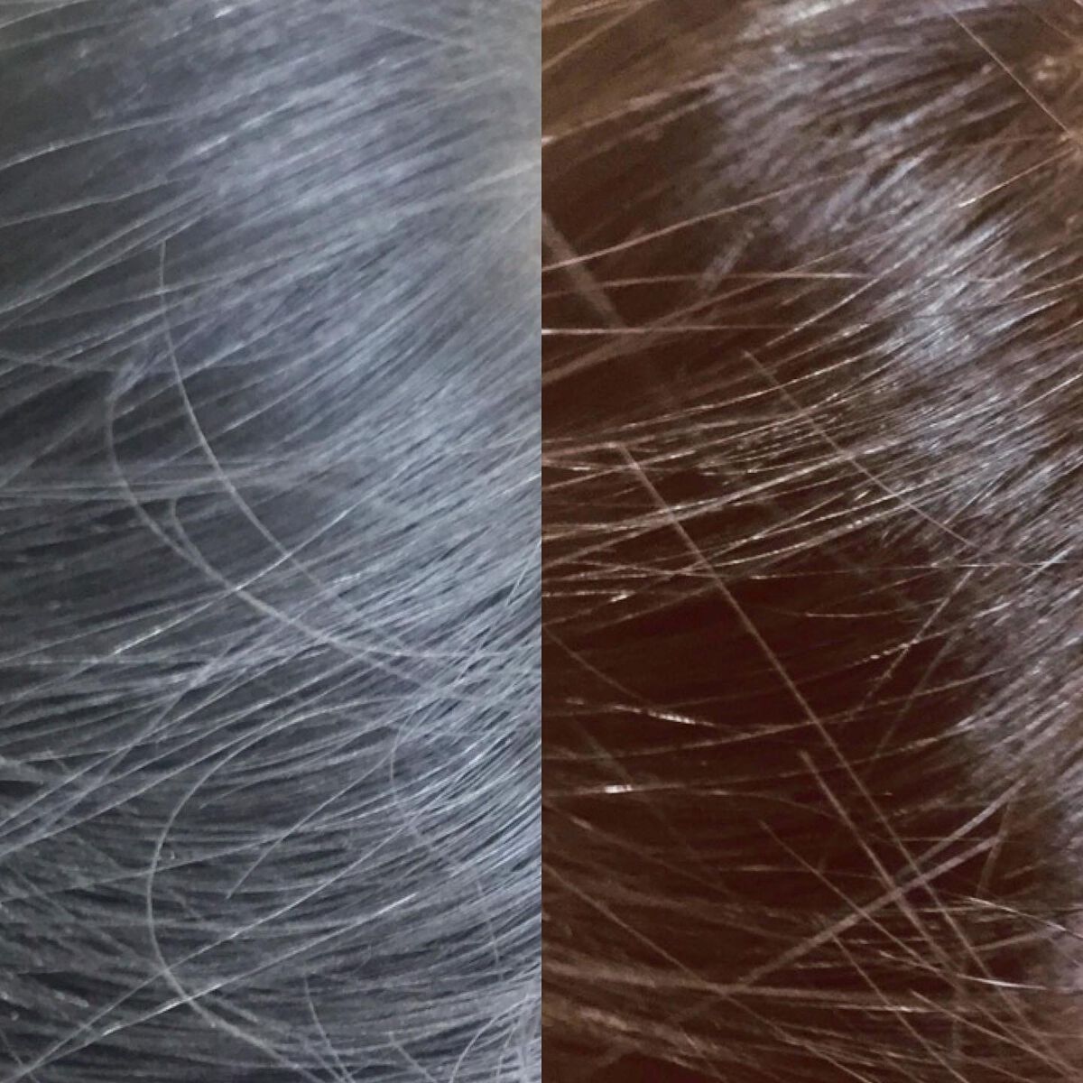 カラーシャンプー/綺和美/市販シャンプーを使ったクチコミ（3枚目）