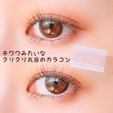 iL Neige チョコ(Choco)/Torico Eye./カラーコンタクトレンズを使ったクチコミ（1枚目）