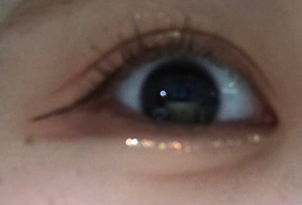 シャドウパレット/dasique/アイシャドウパレットを使ったクチコミ(1枚目)