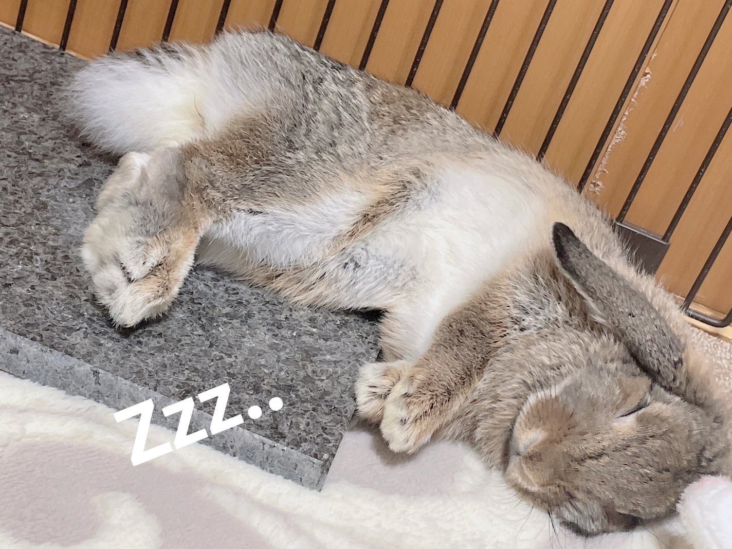 描くふたえアイライナー/CEZANNE/リキッドアイライナーを使ったクチコミ(6枚目)