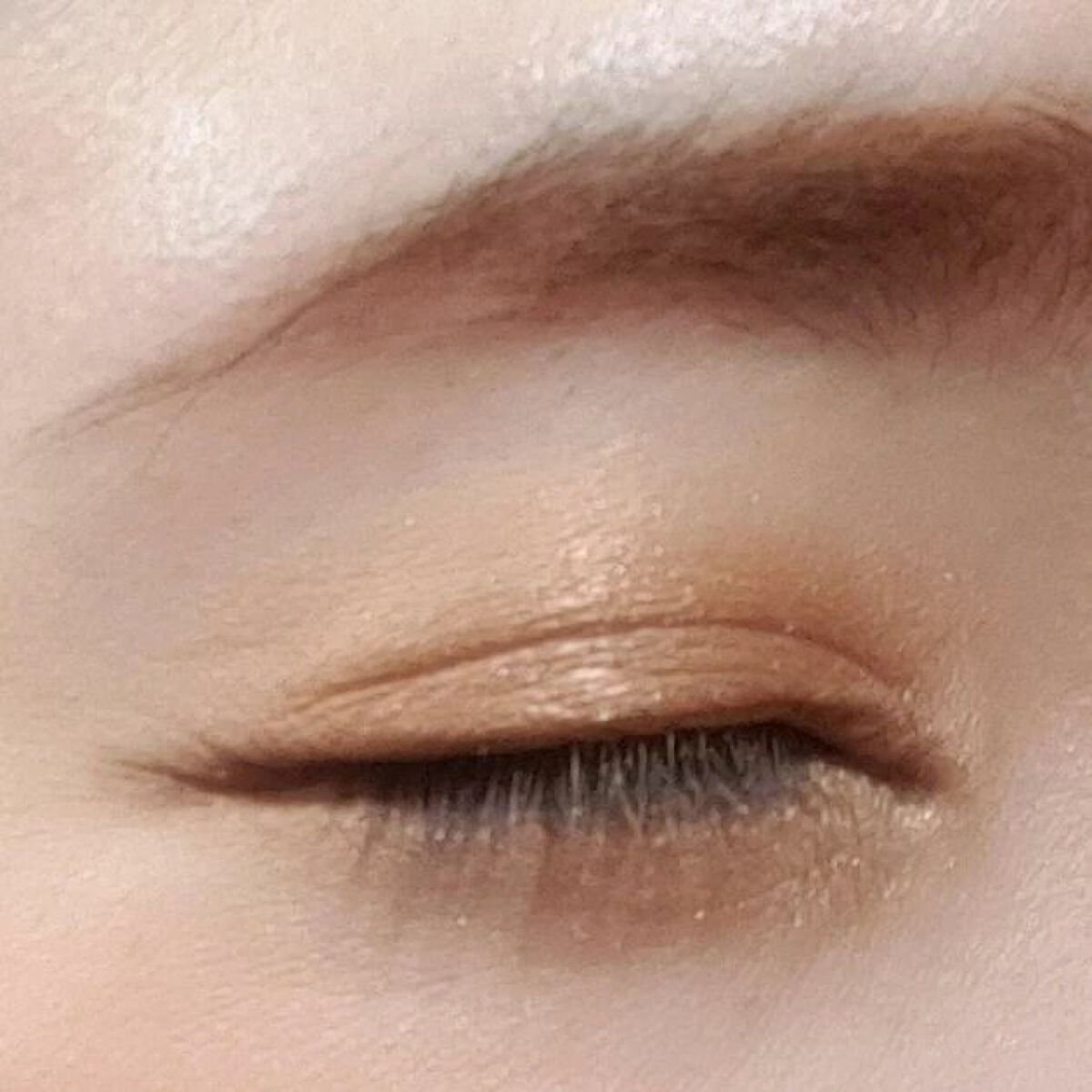 アイカラーレーション EX21 Serval Cat（限定発売）/LUNASOL/アイシャドウパレットを使ったクチコミ（2枚目）