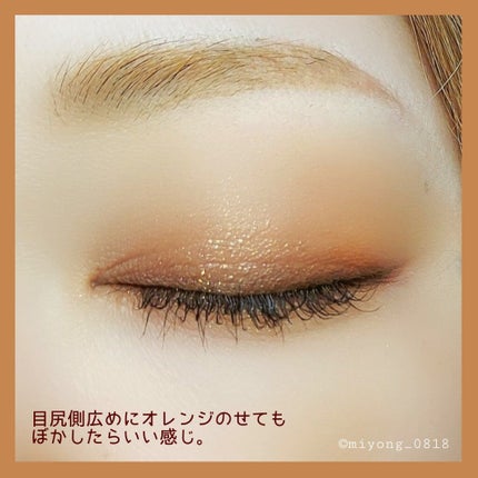 シルキースフレアイズ(マットタイプ)/キャンメイク/アイシャドウパレットを使ったクチコミ(9枚目)