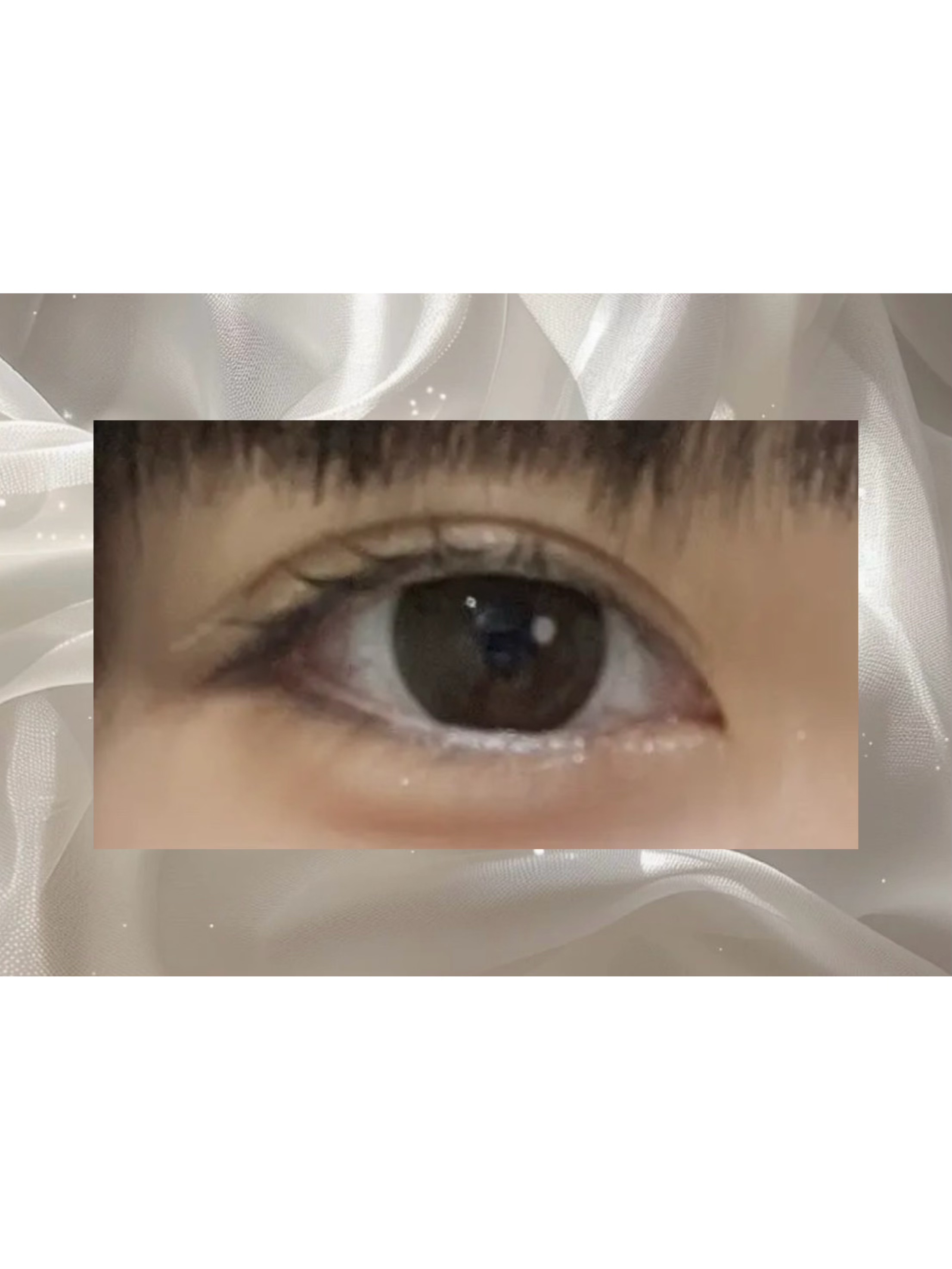 TOPARDS 1day ラテパール/TOPARDS/ワンデー（１DAY）カラコンを使ったクチコミ（1枚目）