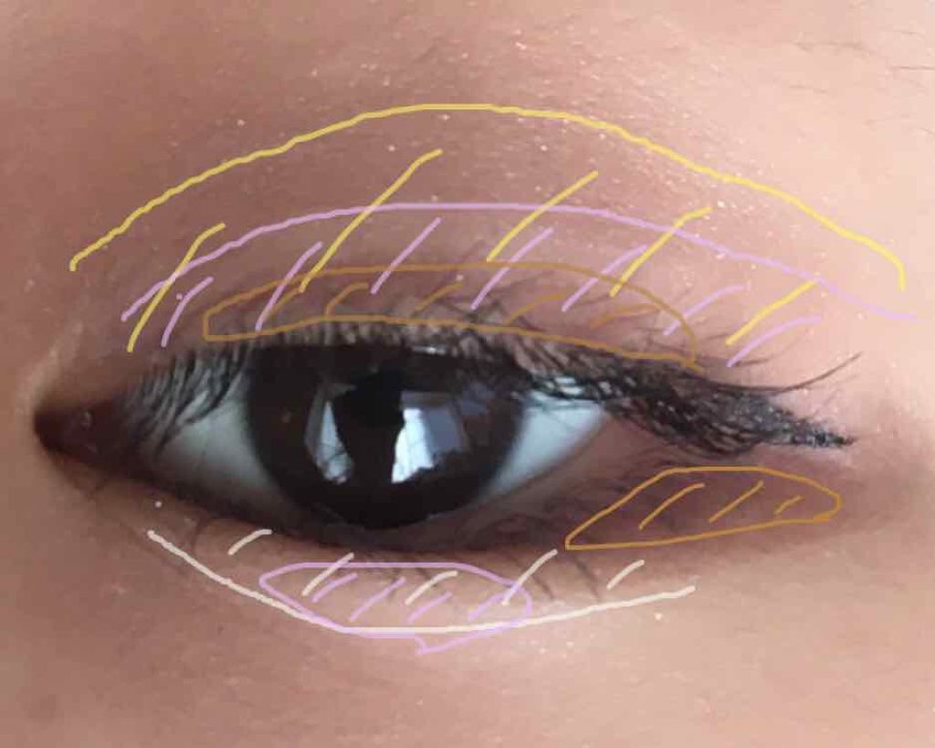 エアリータッチシャドウ/CEZANNE/アイシャドウパレットを使ったクチコミ(2枚目)