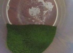 私の青汁/ヤクルトヘルスフーズ/青汁を使ったクチコミ（3枚目）