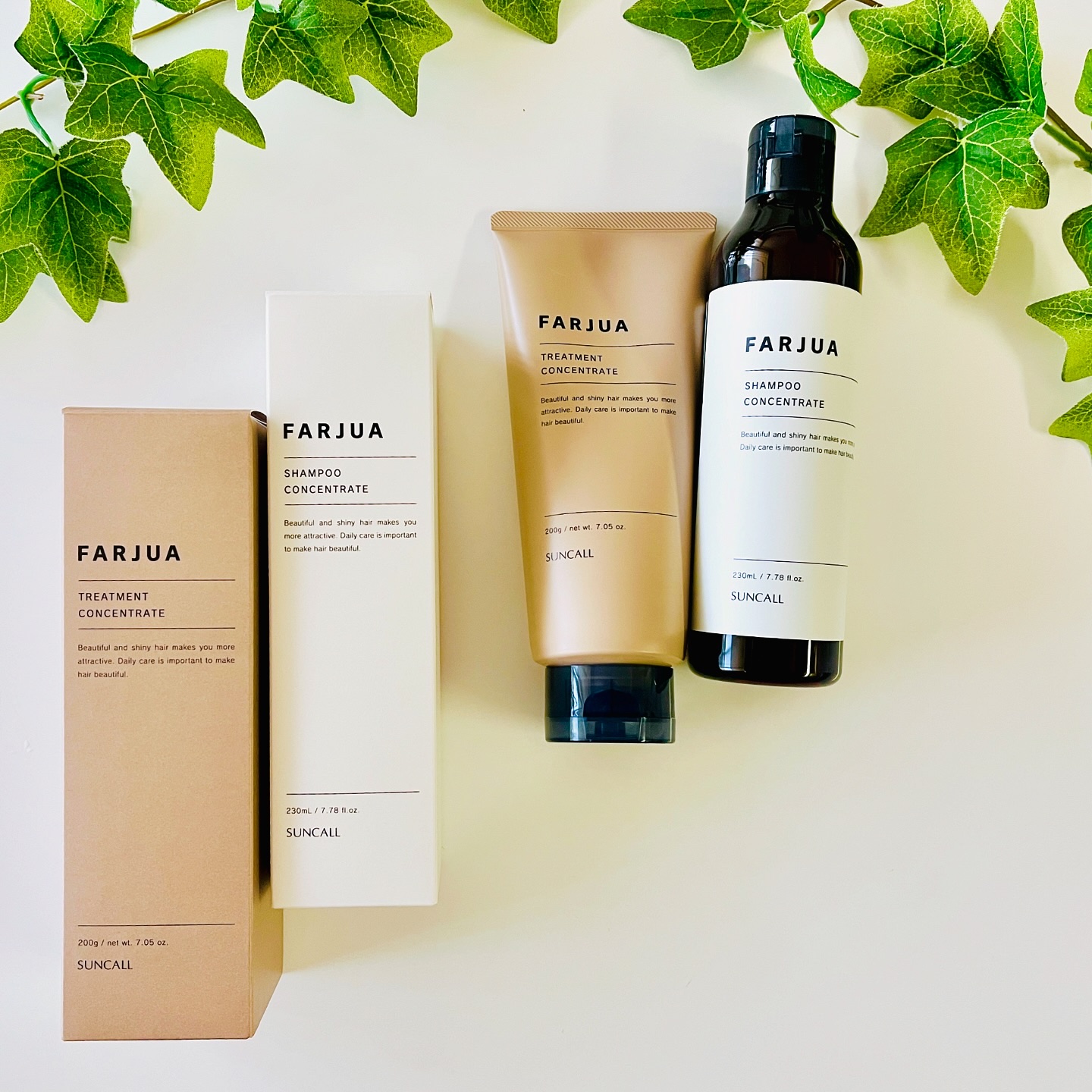 ファルジュア シャンプー コンセントレート/サンコール/サロンシャンプーを使ったクチコミ（1枚目）