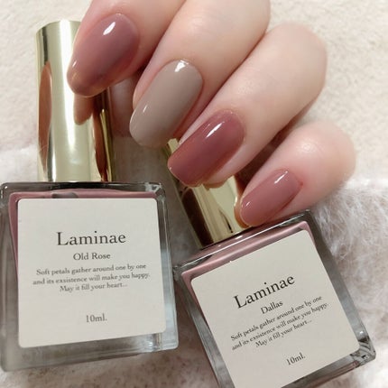 nail polish/Laminae/マニキュアを使ったクチコミ(3枚目)