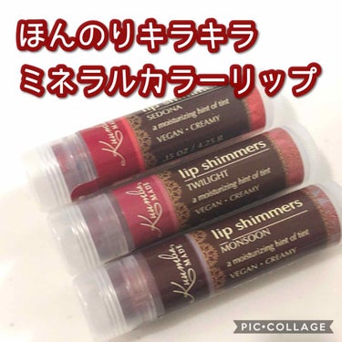 Lip Shimmer/BURT'S BEES/口紅を使ったクチコミ（1枚目）