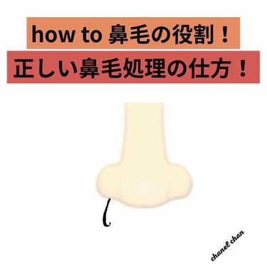 【鼻毛処理はやはりコレがおすすめ！】

●まず鼻毛が生えてくる意味

ホコリなどの微粒子を鼻毛でガードして肺や気管支などの呼吸器への侵入を防いでくれています！

●なので全部処理するのはNG🙅‍♀️

