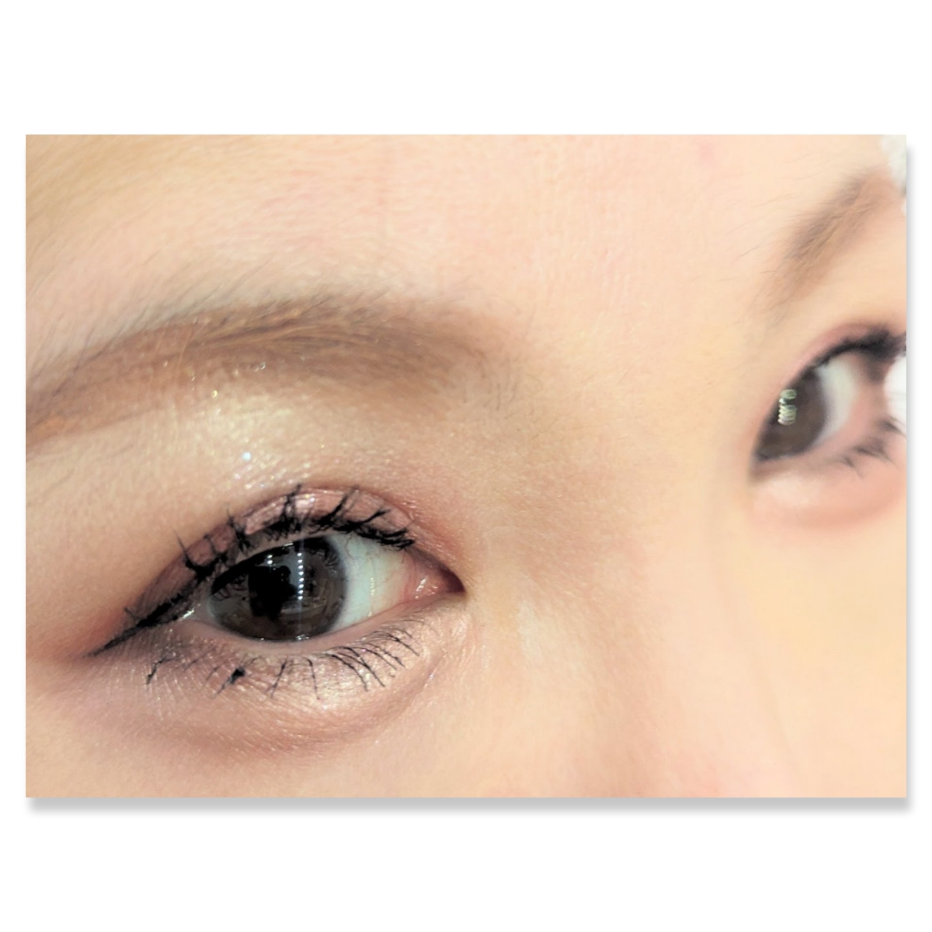 ラブ・ライナー ドラマティックガーデンコレクション カラーパレット ＜アイシャドウ＞ ロージィムード/ラブ・ライナー/アイシャドウパレットを使ったクチコミ（2枚目）