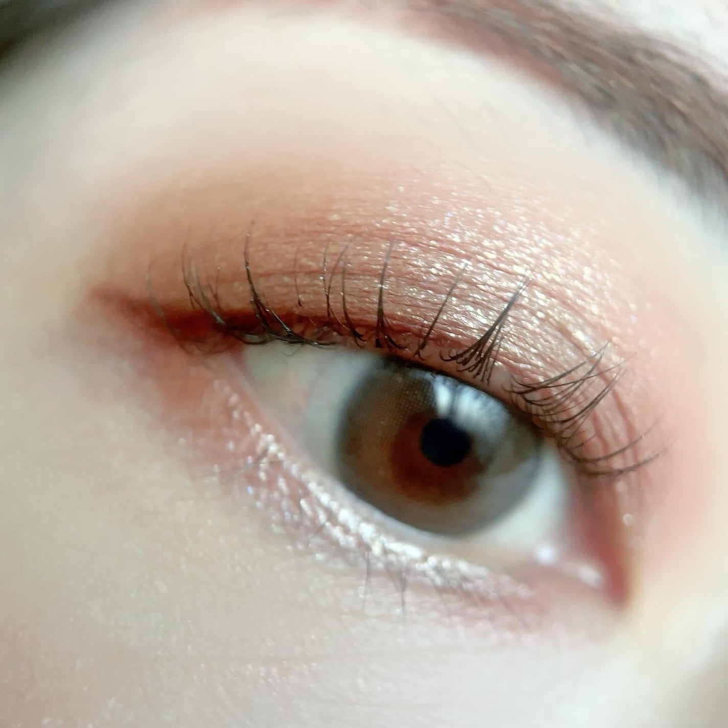 アイカラーレーション/LUNASOL/アイシャドウパレットを使ったクチコミ(3枚目)