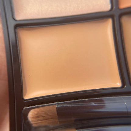 トーンパーフェクティング パレット/DECORTÉ/パレットコンシーラーを使ったクチコミ(4枚目)