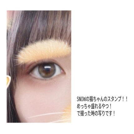 ReVIA 1day/ReVIA/ワンデー(1DAY)カラコンを使ったクチコミ(4枚目)