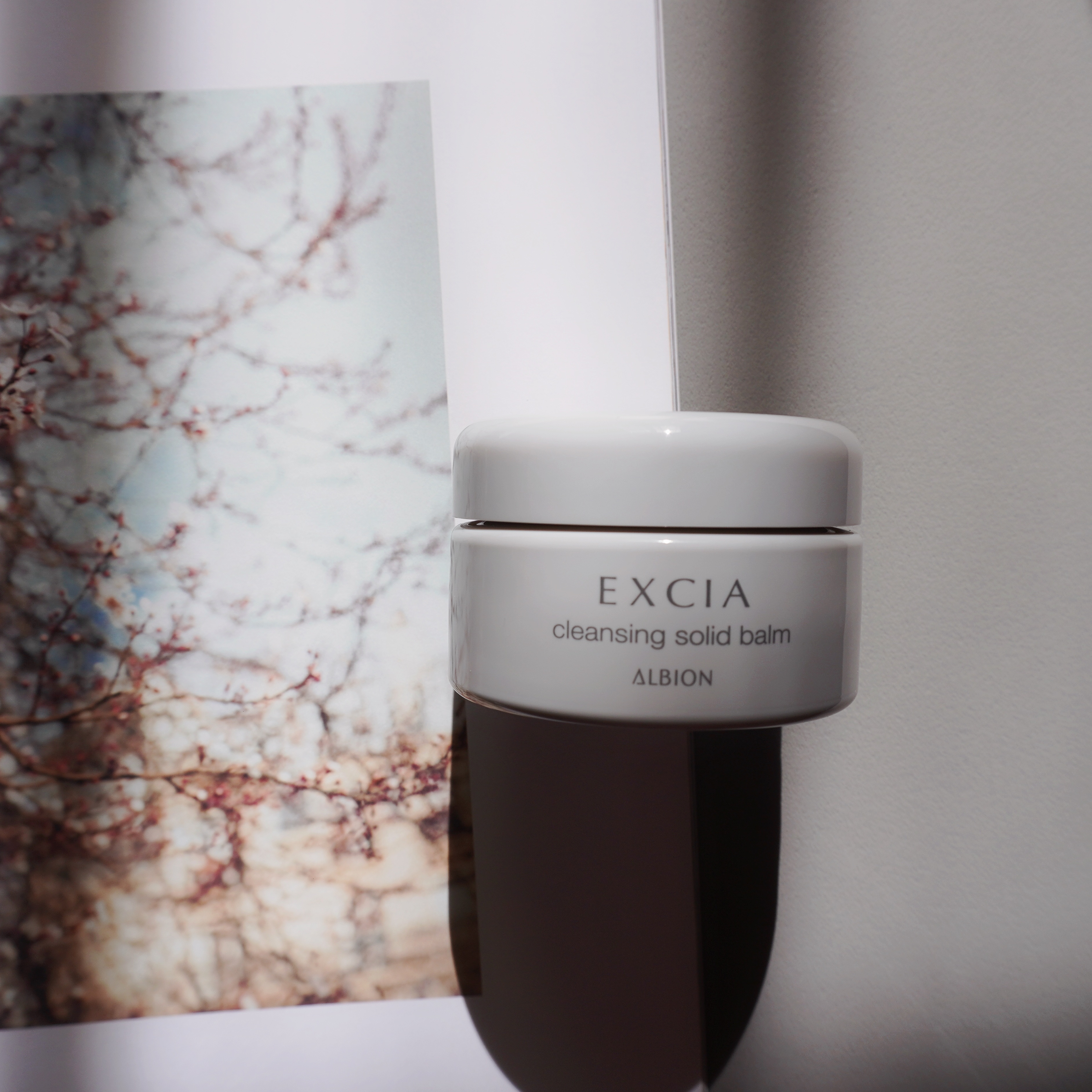 エクシア クレンジング ソリッドバーム/ALBION/クレンジングバームを使ったクチコミ（1枚目）