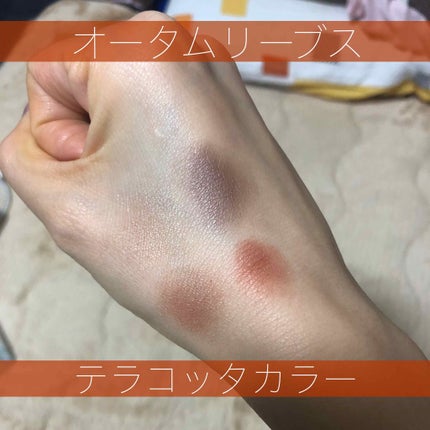 ミネラルクラッシィシャドー/エトヴォス/アイシャドウパレットを使ったクチコミ(3枚目)