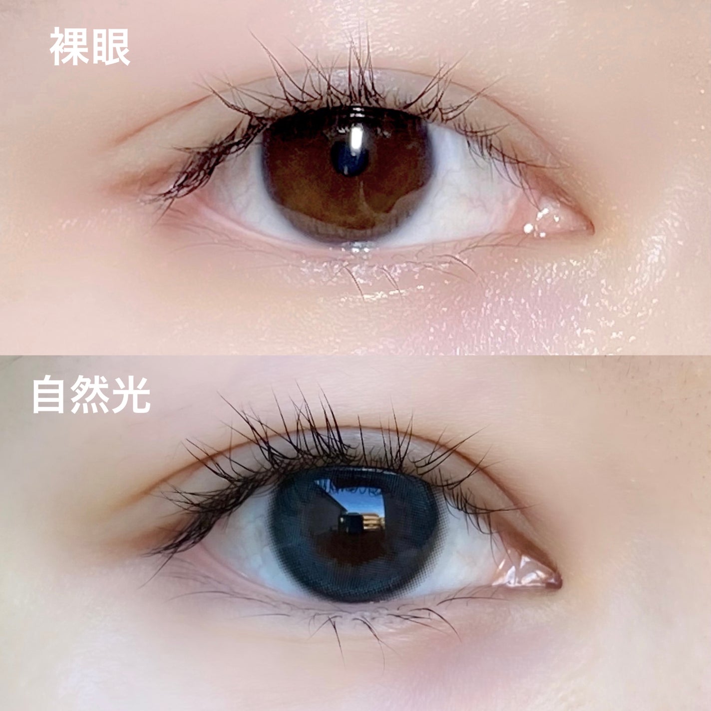 MOLAK 1day/MOLAK/ワンデー(1DAY)カラコンを使ったクチコミ(3枚目)