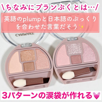 プランぷくコーデアイズ/キャンメイク/パウダーアイシャドウを使ったクチコミ(3枚目)