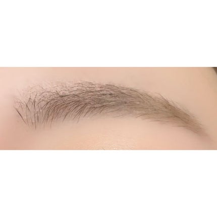 ミックスアイブロウ/キャンメイク/パウダーアイブロウを使ったクチコミ(2枚目)