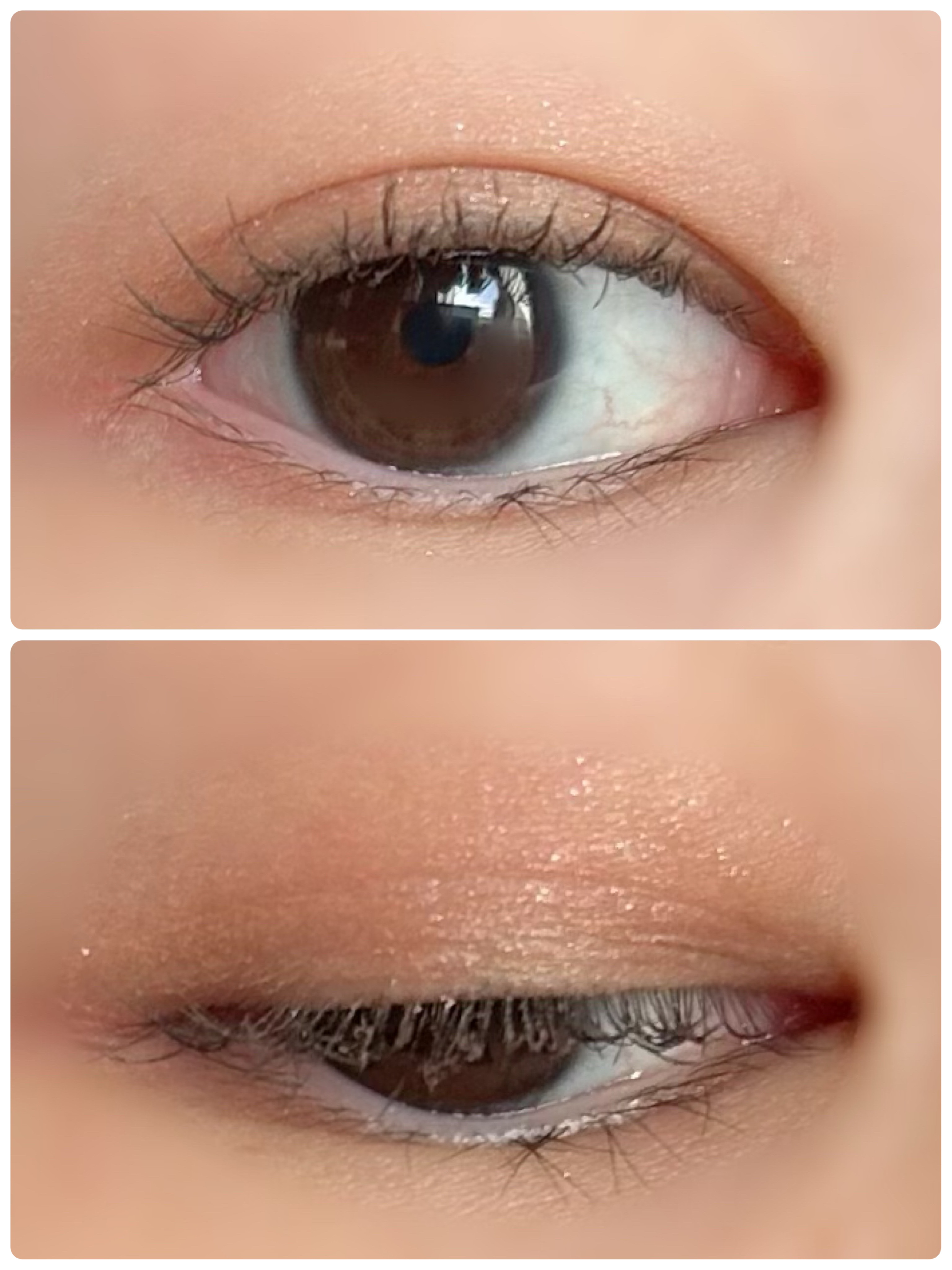 エテュセ アイエディション(カラーパレット)/ettusais/アイシャドウパレットを使ったクチコミ（2枚目）