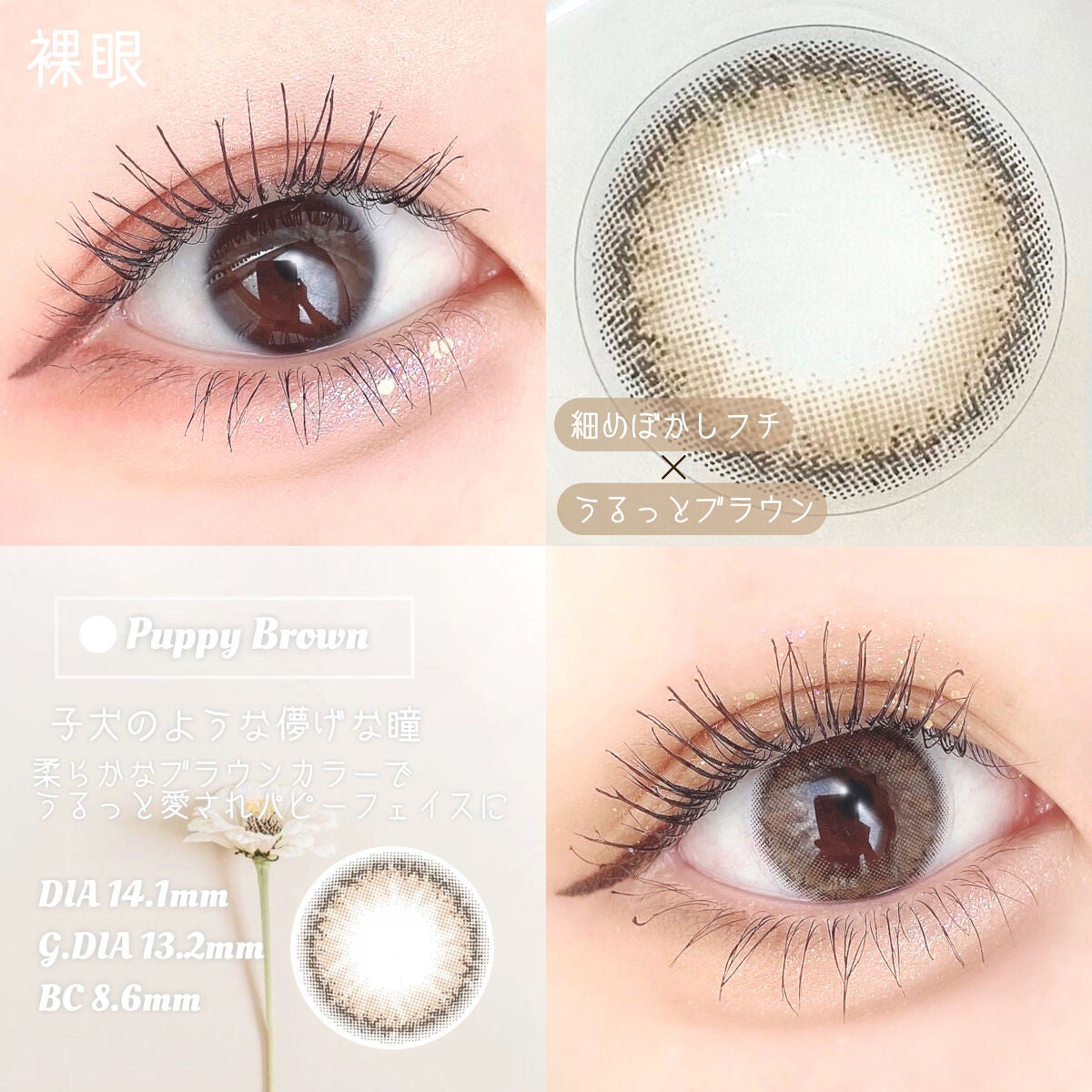 Cheritta 1day/Cheritta/ワンデー(1DAY)カラコンを使ったクチコミ(2枚目)