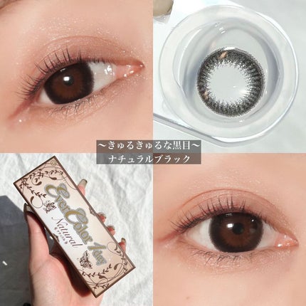 エバーカラーワンデー ナチュラル/エバーカラー/ワンデー(1DAY)カラコンを使ったクチコミ(3枚目)