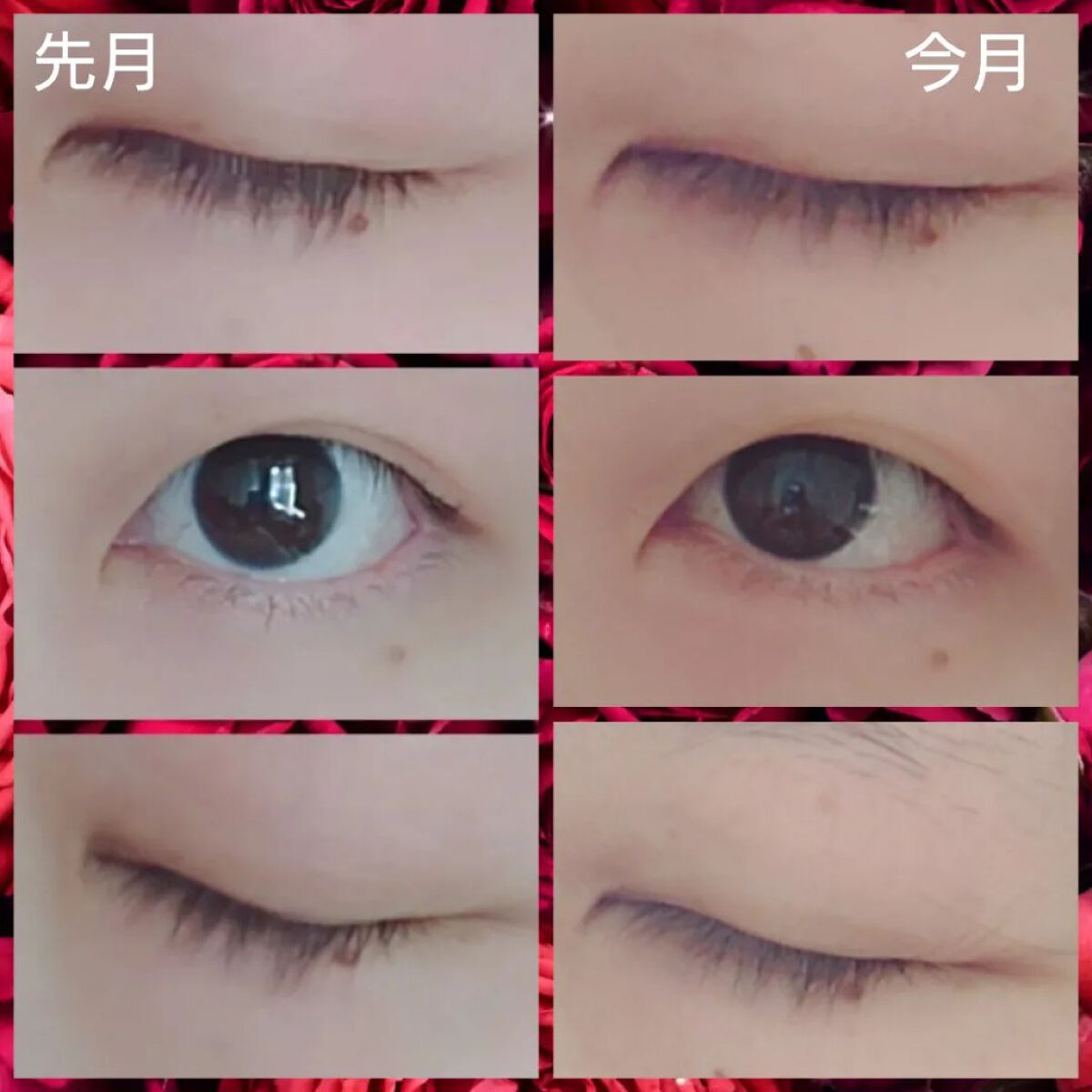 アイラッシュセラム/ビヴェール/まつげ美容液を使ったクチコミ（2枚目）