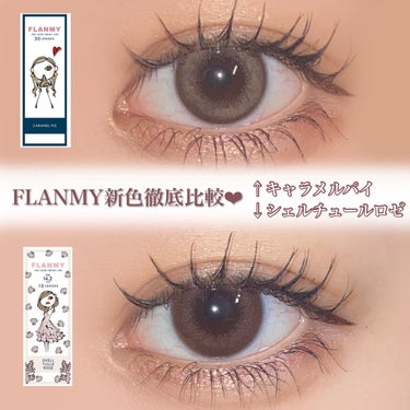 FLANMY 1day（10枚/30枚）/FLANMY/ワンデー（１DAY）カラコンを使ったクチコミ（1枚目）