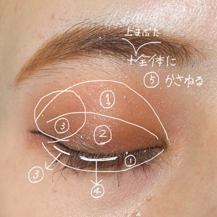 プロ アイ パレット/CLIO/アイシャドウパレットを使ったクチコミ(4枚目)