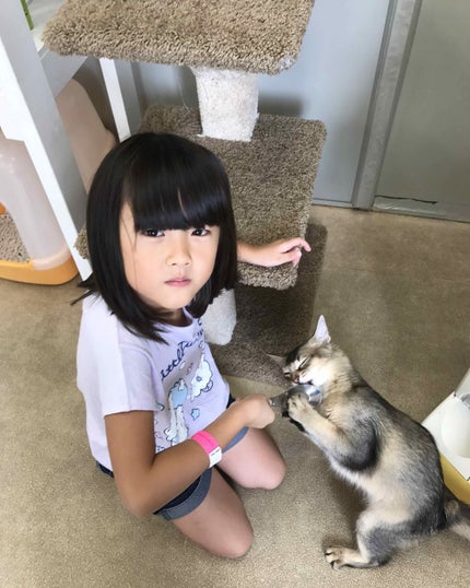 WHITE MILK CREAM/3CE/フェイスクリームを使ったクチコミ(1枚目)