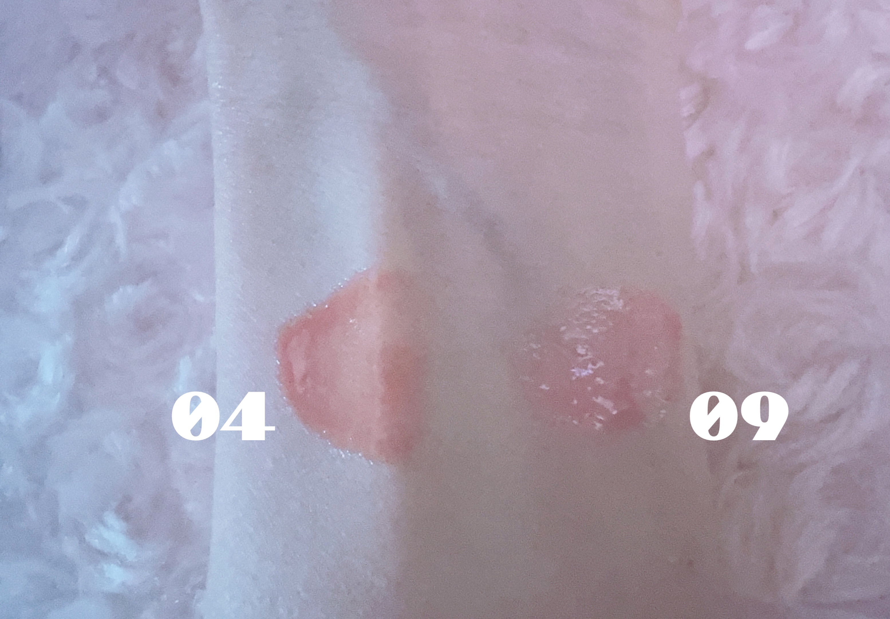 ピュアウォーターリップグロス/dasique/リップグロスを使ったクチコミ（3枚目）