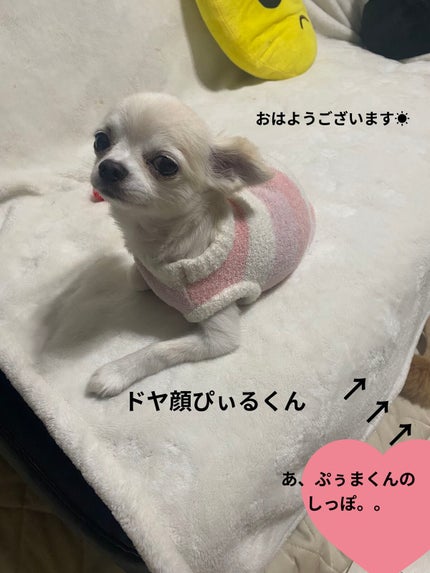 【旧】ディオールアディクトリップスティック(ケース) メタリック シルバー/Dior/その他化粧小物の画像