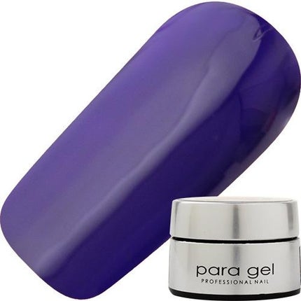 AR15 バイオレット