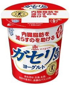 恵 megumi ガセリ菌SP株ヨーグルト PROTEIN 雪印メグミルク