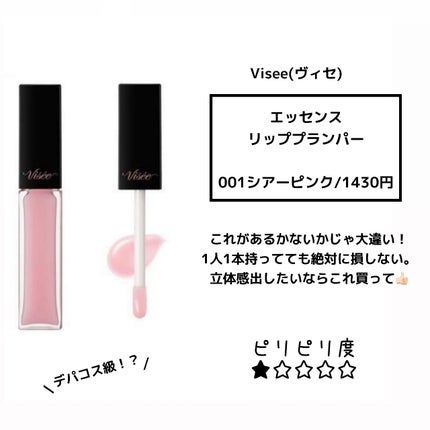 エッセンス リッププランパー/Visée/リッププランパーを使ったクチコミ(5枚目)