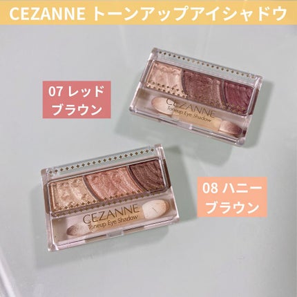 トーンアップアイシャドウ/CEZANNE/アイシャドウパレットを使ったクチコミ(1枚目)
