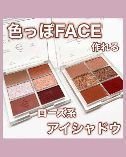 プロアイシャドウパレットセシル/CELEFIT/アイシャドウパレットを使ったクチコミ(1枚目)