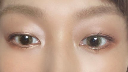 アイラッシュフィクサーEX 552/D-UP/つけまつげを使ったクチコミ(4枚目)