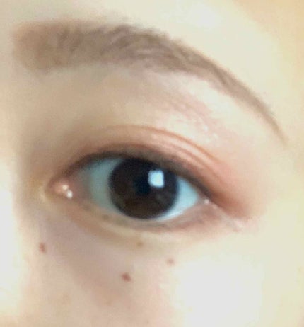 グロッシーリッチ アイズ N/Visée/アイシャドウパレットを使ったクチコミ(3枚目)