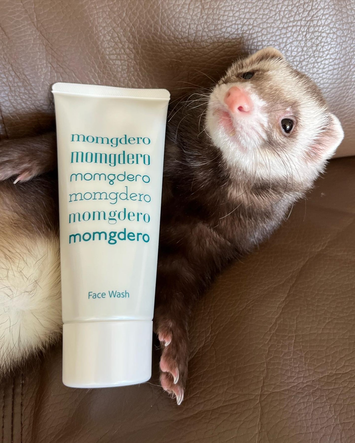 マームグデロ/百養美人/洗顔フォームを使ったクチコミ(3枚目)