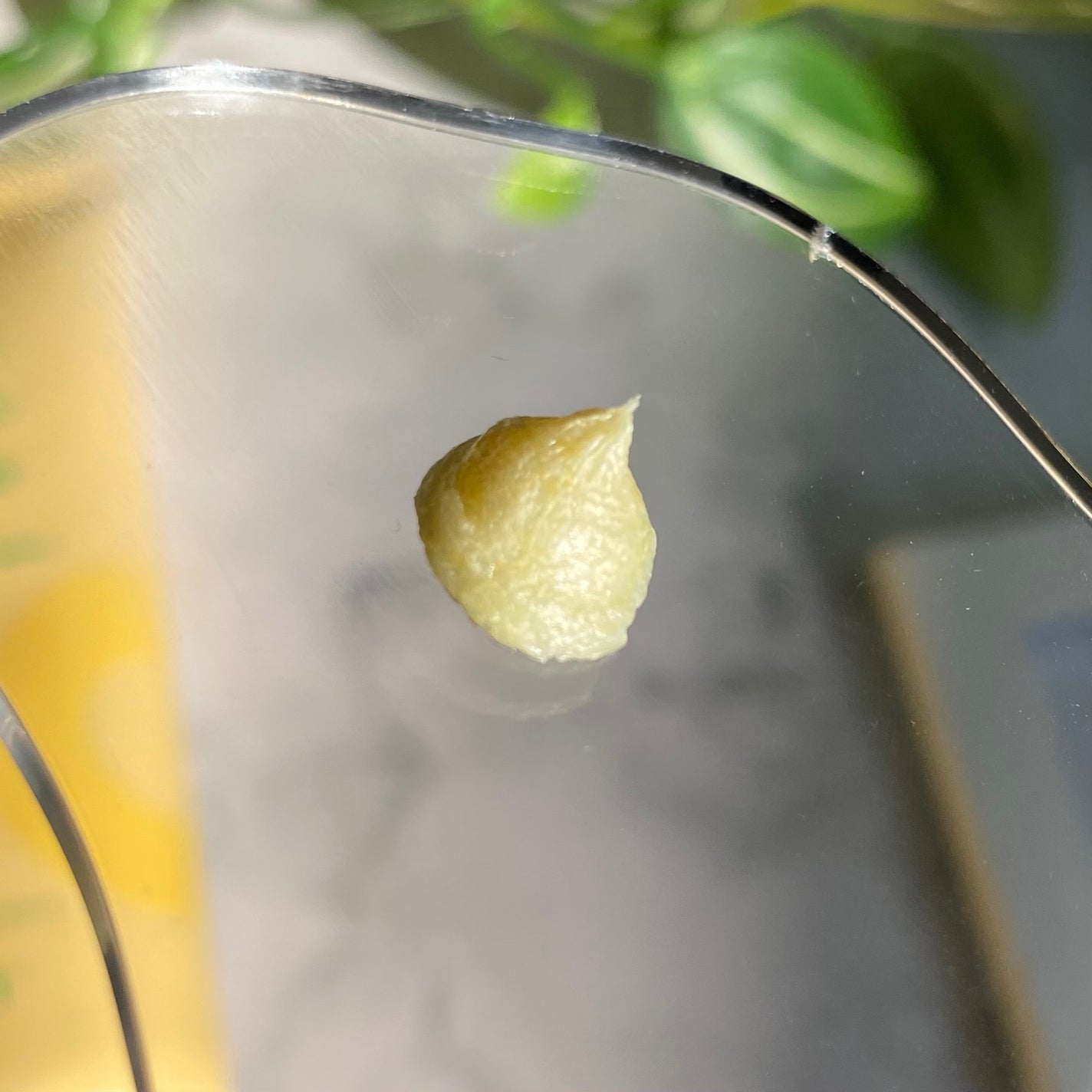 シカバイタル フォームクレンザー/VT/洗顔フォームを使ったクチコミ(4枚目)