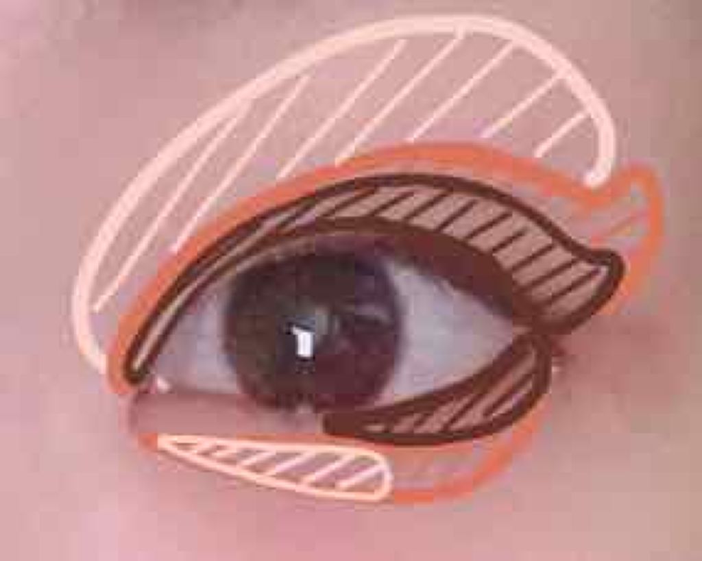 インク カラー カラ（AD）/PERIPERA/マスカラを使ったクチコミ（3枚目）